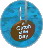 Catch of the Day